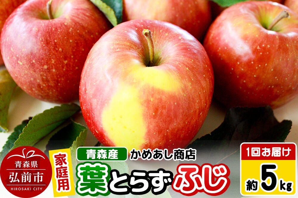 【寄附金額見直しました】【25年12月〜発送】りんご 葉とらず ふじ【家庭用】約5kg ゴールド農園 [青森産 りんご ふじ 葉取らず アップル 林檎 リンゴ 果物 果実 美味 青森県 弘前市]