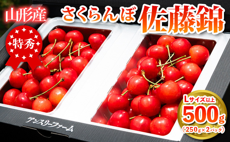 
             山形県産 さくらんぼ「佐藤錦」500g 特秀品 Lサイズ以上 【令和7年産先行予約】FS24-805
          