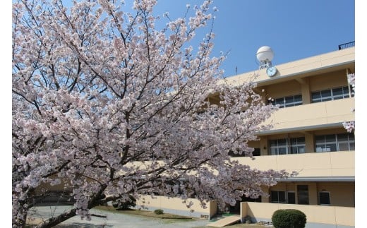 【学校応援ふるさと寄附金】田原本町立東小学校（返礼品なし）5,000円