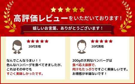 [大人気ハンバーグの定期便] 全2回/2ヶ月毎 合計20個 北海道 十勝牛 手ごねハンバーグ 200g×10個【 セット 牛100% 国産牛 牛肉 ハンバーグ パティ パテ 惣菜 小分け 冷凍 大きい