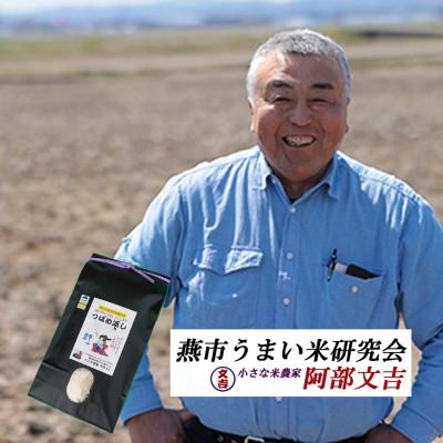 ふるさと納税 燕市 【8年産新米先行予約】おかずのいらないコシヒカリ「つばめ返し」白米5kg |  | 01