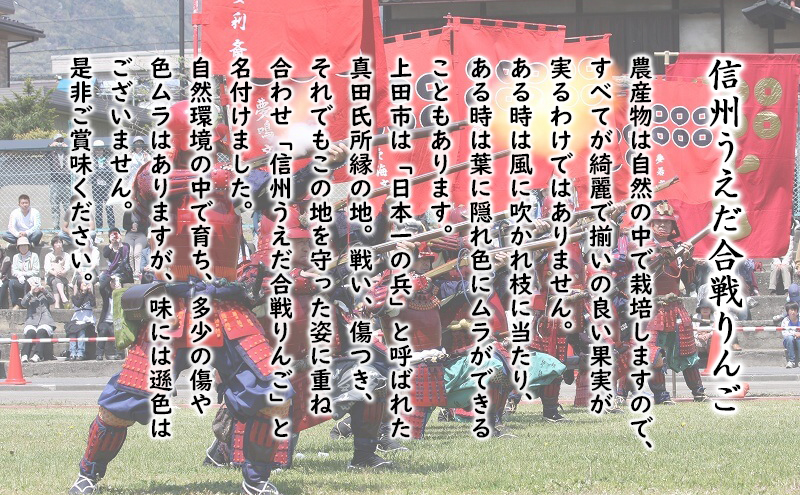 訳あり りんご JA信州うえだ 合戦りんご サンふじ 約10kg リンゴ 林檎 ふじ 果物 くだもの フルーツ 信州 長野 離乳食 訳アリ わけあり 傷