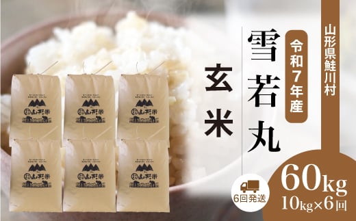 ＜令和7年産米＞ 雪若丸 【玄米】 60kg定期便 （10kg×6回発送）＜配送時期選べます＞　山形県鮭川村