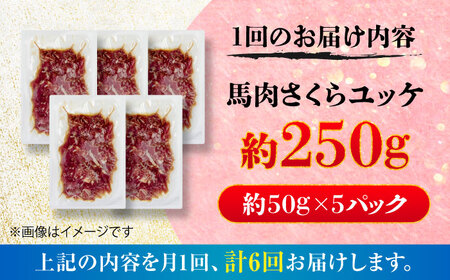 【全6回定期便】馬肉さくらユッケ 約250g(約50g×5パック) / 馬肉 ユッケ 馬刺しユッケ 小分け 生食用 熊本肥育 桜ユッケ 馬刺し 熊本県 おつまみ 晩酌 菊陽町【五右衛門フーズ】[BHC