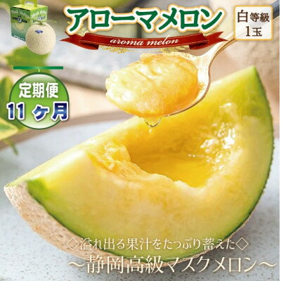 【ふるさと納税】【毎月定期便】アローマメロン1玉(約1.0kg以上/玉)【静岡高級マスクメロン】全11回【配送不可地域：離島・北海道・沖縄県】【4071899】