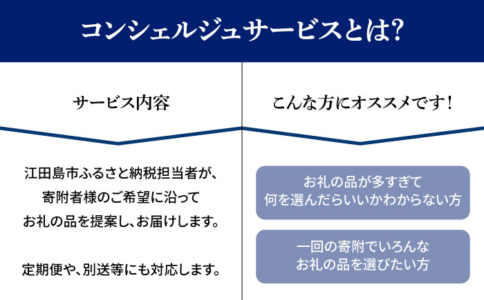 【江田島市コンシェルジュ】返礼品おまかせ！寄附額20万円コース [XZZ001]