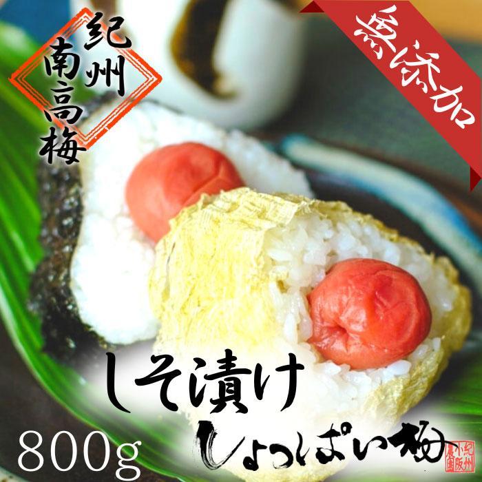 【ふるさと納税】無添加　しそ梅　しょっぱい（食べごろLサイズ800g）紀州南高梅【梅農家手づくり梅干】 | 和歌山県 白浜町 和歌山 取り寄せ お取り寄せ グルメ お取り寄せグルメ ご当地グルメ 梅 うめ ウメ 梅干 梅干し 漬け物 漬物 紀州