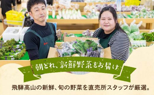 先行予約 定期便 3ヶ月 飛騨の野菜 6～7点 野菜セット 3回 お届け 飛騨高山産 野菜  秋野菜 おまかせ お取り寄せ  産地直送 飛騨産 夏 秋 ふるさと納税定期便    GN100