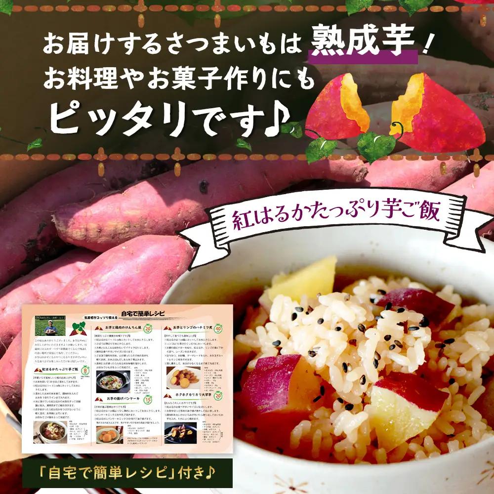 【先行予約：11月下旬配送～】熟成 さつまいも 紅はるか 3kg Lサイズ (美味しい焼き芋の焼き方 説明書付き） FR-531 ｜ 秋の味覚 2026年秋収穫 貯蔵 長期熟成 糖化 さつまいも サツ