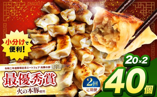 【 定期便2回 】 火の本豚餃子 （20個×2パック）40個入 | 熊本県 熊本 くまもと 和水町 なごみ 豚肉 火の本豚 地域ブランド ギョウザ ぎょうざ 20個 2パック 40個 冷凍餃子