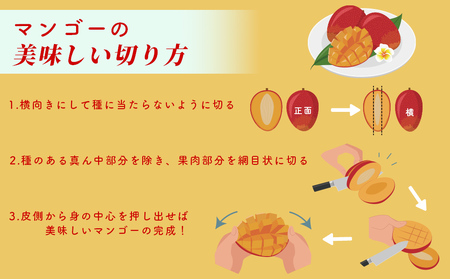 ハナトフルーツ 沖縄県産マンゴーA品 ２ｋｇ 【2025年発送】