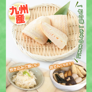 【全4回定期便】 (2月・5月・8月・11月) 訳あり 九州産 たけのこ水煮 200g×8P×4回 【マツバラ】 i536