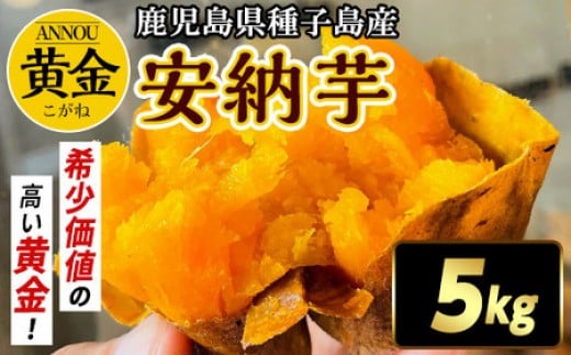 種子島産安納黄金いも5kg 2S～Sサイズ（61g～150g）