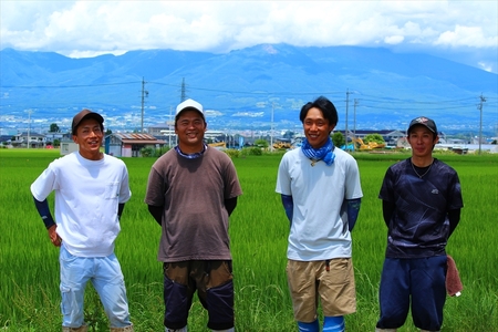 特別栽培米　市川さんのこしひかり 令和6年産【玄米5kg×定期便6カ月】　コメ　信州　おいしい　ごはん【 米 コメ 備蓄品 仕送り おすそ分け 備蓄米 長野県 佐久市 】