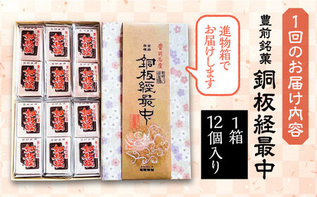 【全6回定期便】【進物箱】銅板経最中 12個入り《豊前市》【武蔵屋】お中元 ギフト 贈り物 和菓子 饅頭[VBU012] 菓子 お菓子 スイーツ 菓子 甘い菓子 菓子 お菓子 スイーツ 菓子 甘い菓子