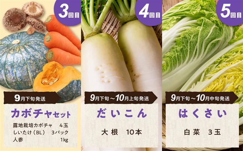 【5回定期便】旬の採れたて野菜「贅沢セットＣ」