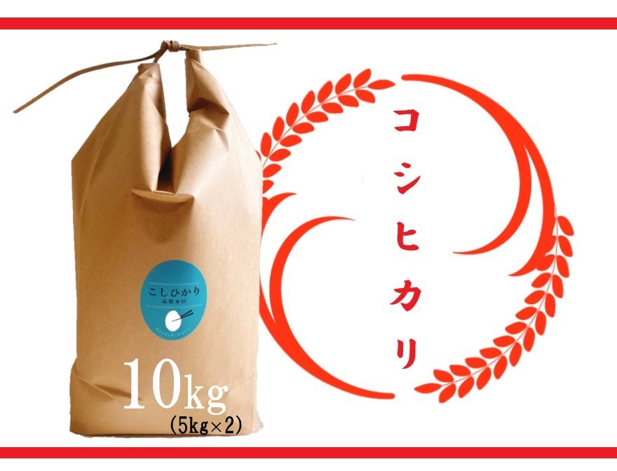 【ふるさと納税】 【令和7年産 特別栽培 近江米 『コシヒカリ』10kg(5kg×2)】 米 近江米 こしひかり 滋賀県 竜王