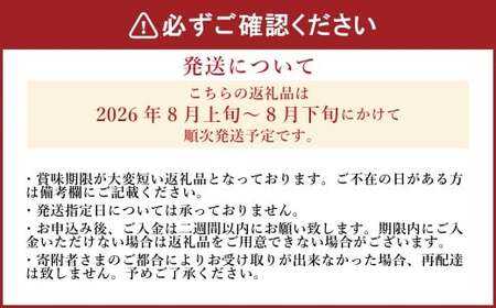 《先行予約》 「山之上果実農業協同組合」 山之上の梨 幸水 1箱 約 2.5kg 5-8玉 梨 なし ナシ フルーツ 果物 旬  【2026年8月上旬-8月下旬 発送予定】