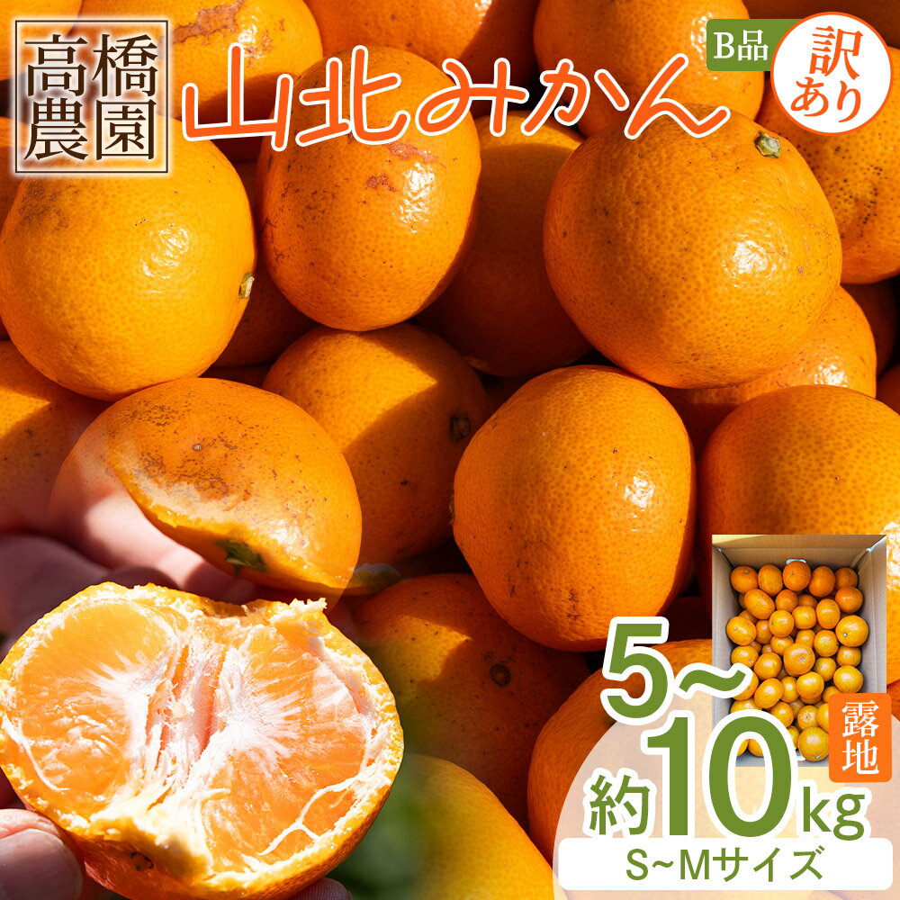 【ふるさと納税】【2026年11月中旬より順次配送】みかん 訳あり 山北みかん 露地(S～M) B品 約5kg／10kg - 選べる 数量 果物 フルーツ ミカン 蜜柑 柑橘 家庭用 自宅用 新鮮 農家直送 露地 甘い 糖度 訳アリ 高橋農園 高知県 香南市