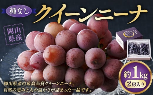 【種なし】 岡山県産 クイーンニーナ 1kg箱（2房入り） 【2025年8月下旬～9月上旬発送予定】 ／ ぶどう ブドウ 葡萄 大粒 種なし 種無し フルーツ 果物 くだもの 果実