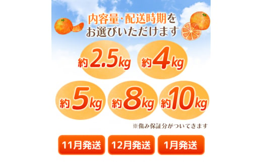 【2024年11月発送予約分】【家庭用】【農家直送】こだわりの有田みかん 約10kg＋250g(傷み補償分)  有機質肥料100%  サイズ混合　【11月発送】※北海道・沖縄・離島配送不可【nuk10