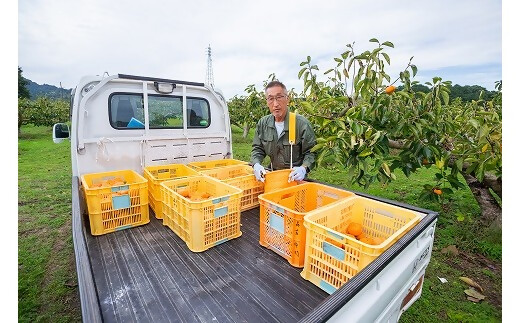 【高島屋選定品】＜中村農園＞三重の安心食材認定　中村農園の次郎柿　大きめサイズ10個（3ｋｇ前後） TSY-05-01