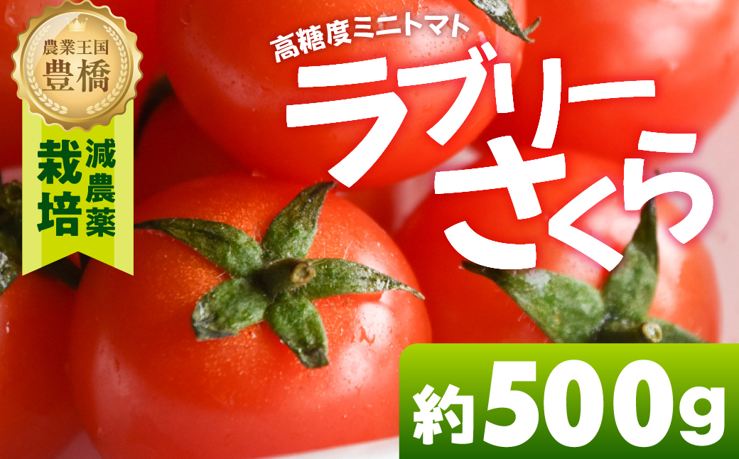 あま～い！ミニトマト 約 500g トマト ミニトマト 濃厚 甘い 美味しい 高糖度 完熟 tomato とまと やさい 自然 安心安全 旬 送料無料 愛知県 豊橋市
