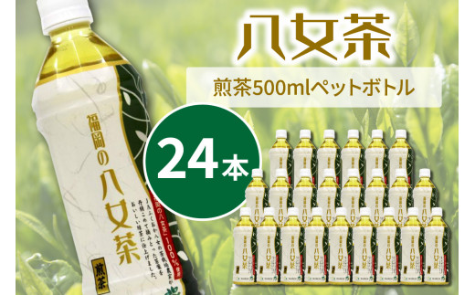 八女茶　煎茶ペットボトル　500ml×24本【015-0020】