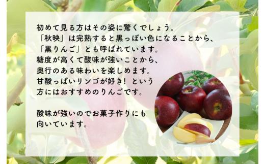 ≪南信州産≫果汁たっぷり、濃厚な味わいの完熟りんご「秋映」をお届けします！