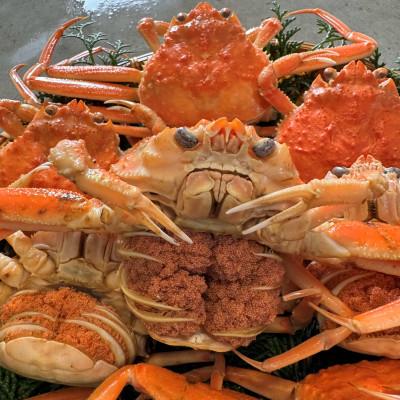 ふるさと納税 岩美町 鳥取網代港【訳あり】浜茹で!絶品セコガニ1kgセット【さかなや新鮮組】 |  | 01