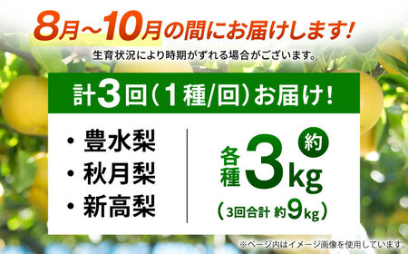 【先行予約】【3回定期便】 梨 約3kg 計約9kg（豊水・秋月・新高）  梨 ナシ フルーツ 果物 【日本フルーツ株式会社】[ZFJ070]