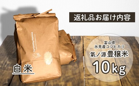 お米自慢コンクール優秀賞！  令和7年産 富山県産コシヒカリ 白米 10kg 富山県 氷見市 こしひかり R7