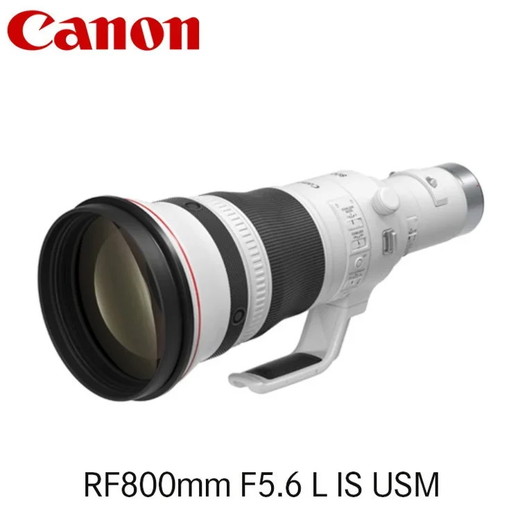 キヤノン Canon 望遠レンズ RF800mm F5.6 L IS USM ｜ キヤノン Canon カメラ レンズ  写真 撮影