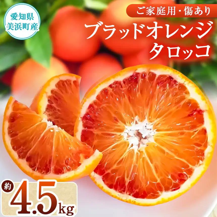 美浜町産ブラッドオレンジタロッコ ご家庭用 傷あり 約4.5kg入り ※2027年4月上旬～5月下旬頃に順次発送予定 