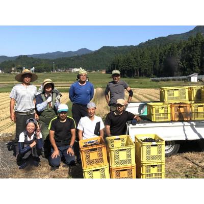ふるさと納税 南魚沼市 南魚沼産カベルネソーヴィニヨン「やま庭のワイン」の飲み比べ3本セット |  | 03