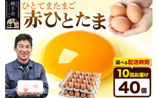 《定期便10ヶ月》赤ひとたま 40個（業務用）