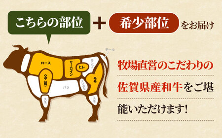 【牧場直送】【6回定期便】佐賀県産和牛 贅沢 1頭まるごと定期便 シルバーコース【有限会社セントラル牧場】[IAH089]