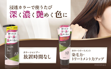 ダリヤ サロンドプロ カラーシャンプー・トリートメント 各3個セット【アッシュブラウン】 / 稲沢市 / 日興商事株式会社 [BMBK005-03]