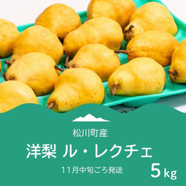 【ふるさと納税】洋梨 ル・レクチェ（松川町産）秀品 約5キロ ／11月中旬頃 配送予定 // 長野県 南信州 松川町 洋梨 ルレクチェ レクチェ 西洋梨 とろける 高糖度 贈答 AS07