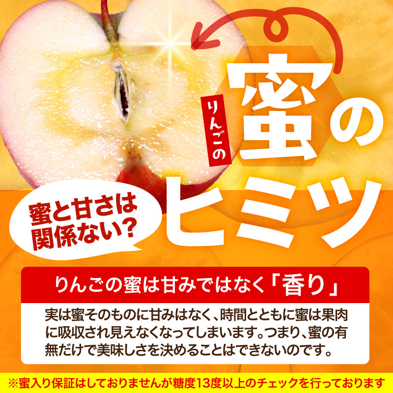 【2027年2月前半発送】 【ちょっと訳あり】 りんご 約10kg サンふじ 青森産