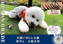 【ふるさと納税】小型犬向け☆天然いのしし骨ガム200g【定期便】全12回（FB174）