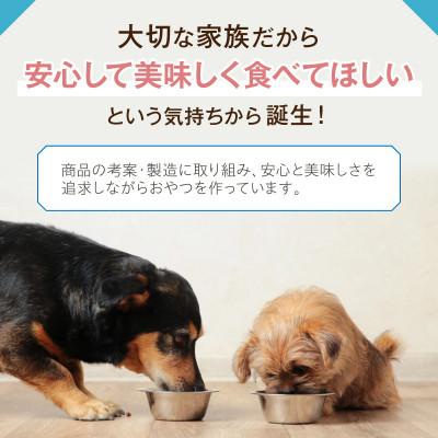 ふるさと納税 泉南市 ペットフード研究所 国産無添加 鹿スジジャーキー 100g ふるさと納税3.0 |  | 01