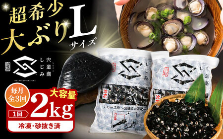 【全3回定期便】地元でも入手困難なレアサイズ！ Lサイズ 宍道湖産ヤマトシジミ(冷凍砂抜き済み)1kg×2袋(2kg) 島根県松江市/宍道湖漁業協同組合[ALAZ009]