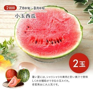 SE0493　【3回定期便】果汁がひろがる！ 酒田の美味しい果物お届け便2026 (アンデスメロン・小玉すいか・刈屋梨)