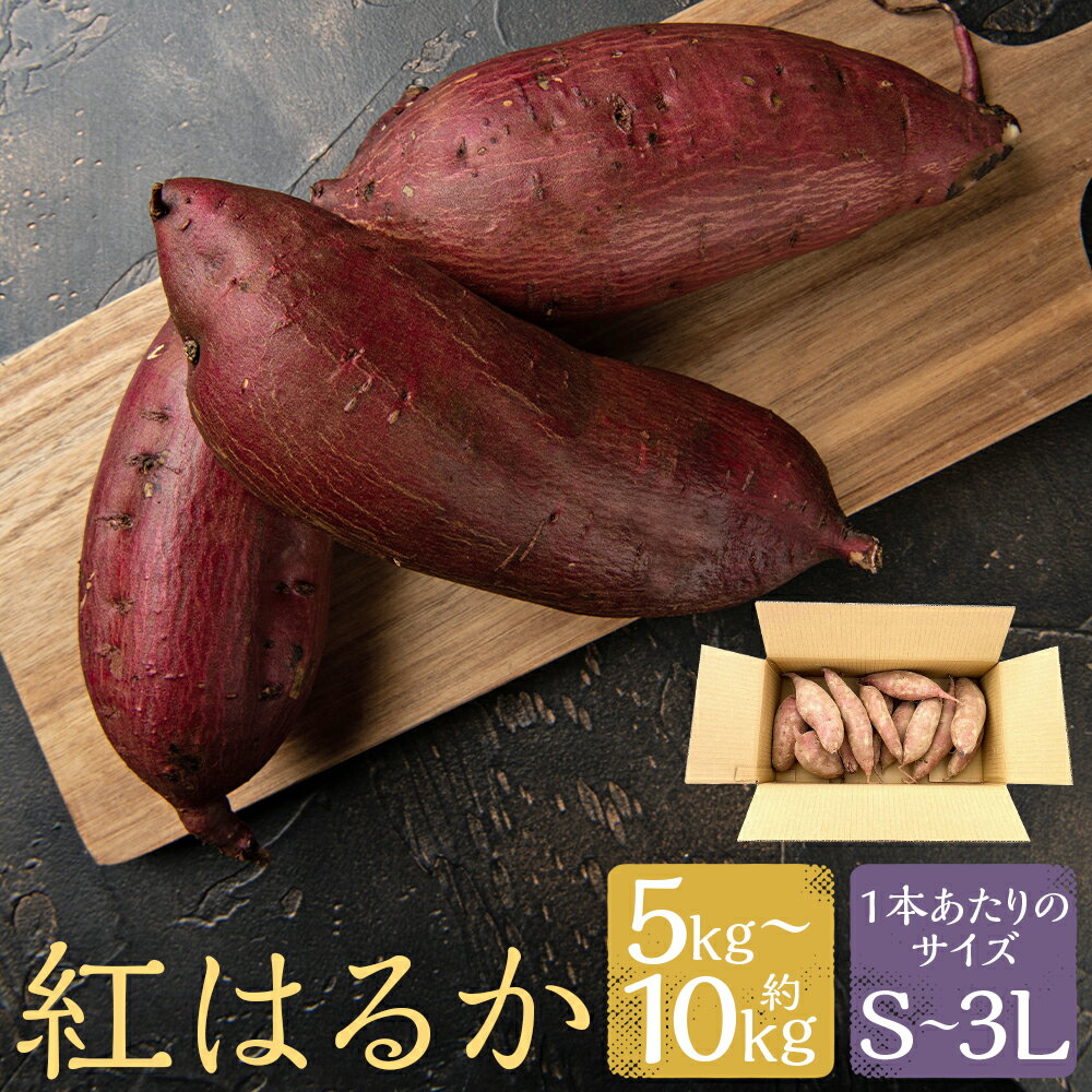 【ふるさと納税】熊本県産 熟成高糖度 紅はるか 熟成生芋 約5kg/約10kg S/M/L/2L/3L 選べる内容量・サイズ さつまいも さつま芋 焼芋 特産品 紅はるか 人吉市 冷凍 送料無料