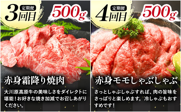 《定期便》全4回お届け！大川原高原牛　赤身(スライス・切り落とし・焼肉・しゃぶしゃぶ)