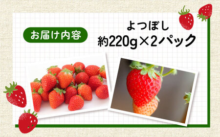 【2026年発送分 先行予約】よつぼし（220g×2パック）/  イチゴ イチゴ イチゴ イチゴ イチゴ イチゴ イチゴ / 佐賀県 / 岸川農園 [41ASAG038]