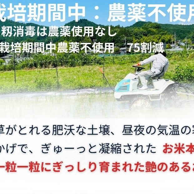 【定期便12回】ひとめぼれ 低農薬栽培＜令和7年産 玄米 2kg ＞ / ふるさと納税 低農薬 米 お米 こめ コメ 国産 新米 玄米 一等米 農家やまおか 奈良県 宇陀市_イメージ3