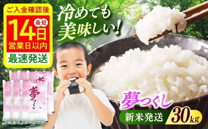 
            【令和7年度産 新米！】福岡県産米 夢つくし30kg(5kgx6袋) 精米《築上町》【有限会社ファインリョーコク】 [ABCO030] 白米 米 お米 精米 新米 ゆめつくし ご飯 ごはん おこめ 弁当 お弁当 95000 95000円

          