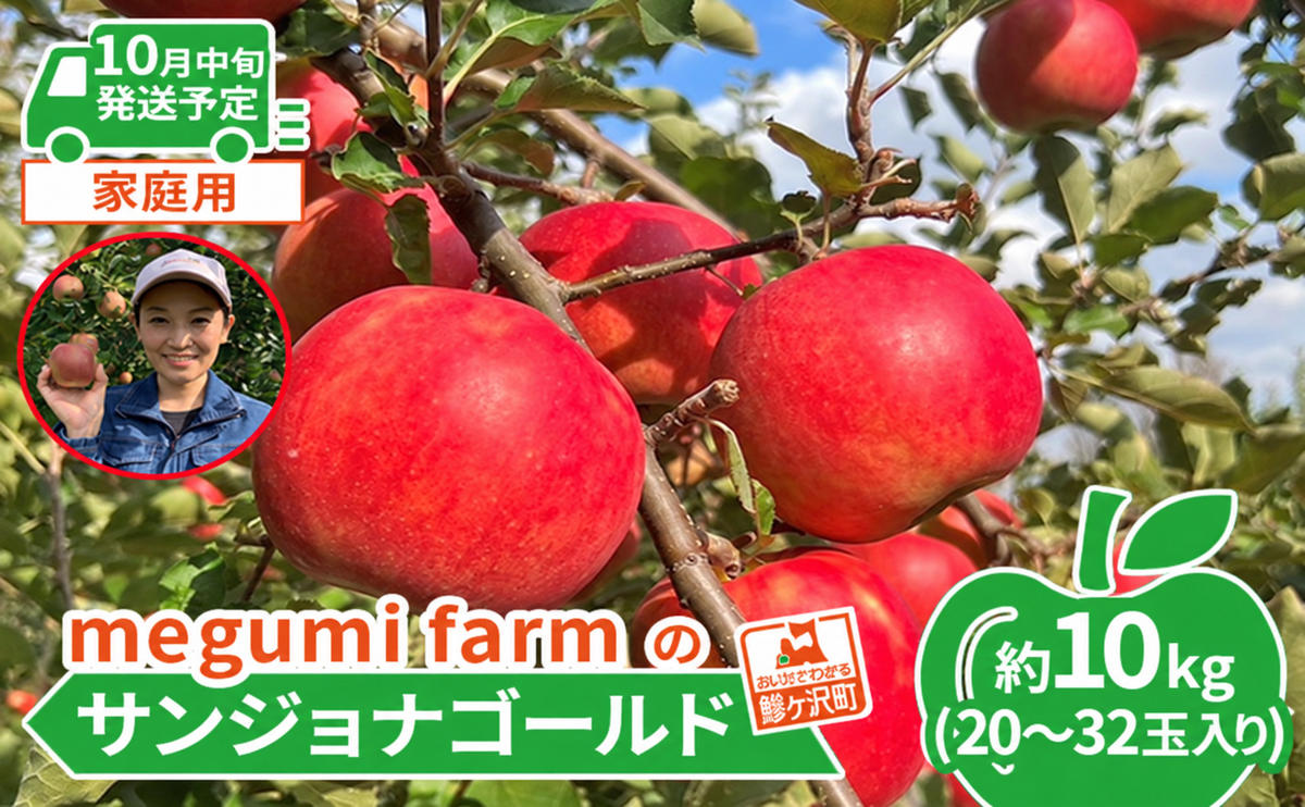 【10月中旬発送】訳あり りんご 糖度14度以上 高糖度 megumi farmのサンジョナゴールド 家庭用 約10kg（20～32玉入） 果物 フルーツ 産地直送 料理 青森県 鰺ヶ沢町